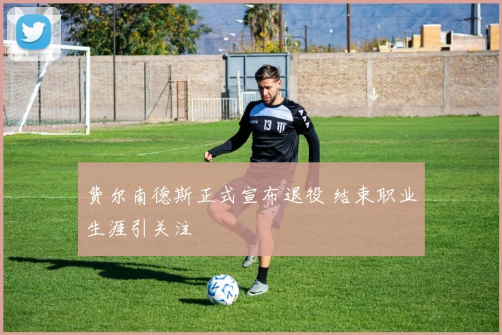 费尔南德斯正式宣布退役 结束职业生涯引关注