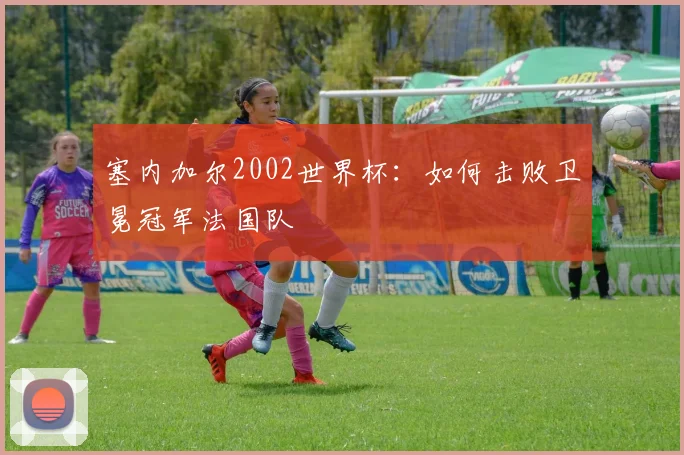 塞内加尔2002世界杯：如何击败卫冕冠军法国队