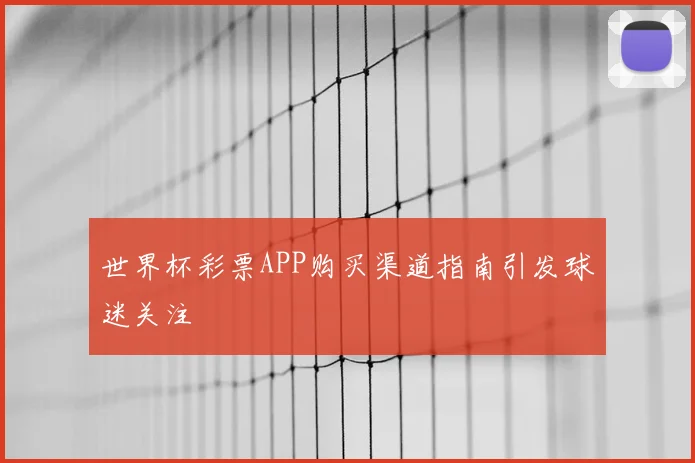 世界杯彩票APP购买渠道指南引发球迷关注