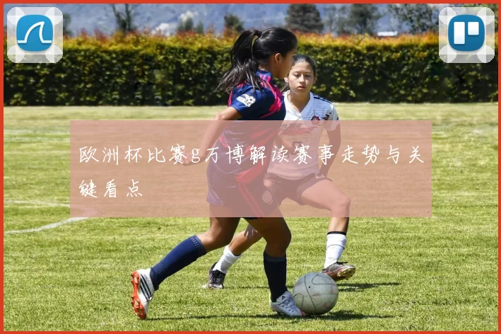 欧洲杯比赛g万博解读赛事走势与关键看点
