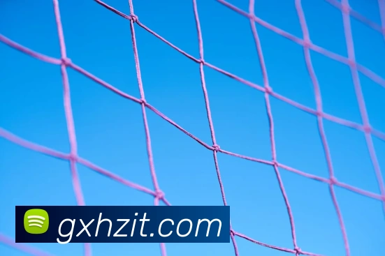 塞内加尔2002世界杯：如何击败卫冕冠军法国队